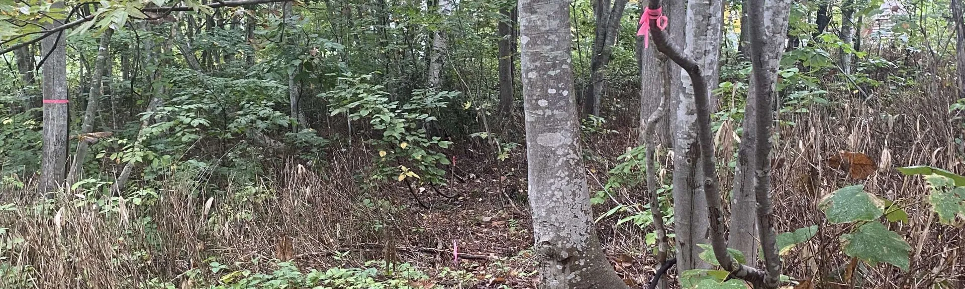 458562886_3967314526833937_7432402402354588466_n