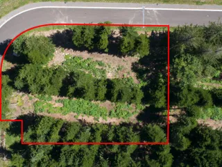 Screen Shot 2022-11-28 at 2.16.04 PM